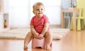 A Stress-Free Potty Training Setup Starts Here: Choosing the Right Seat for Your Toddler’s First Step Toward Independence