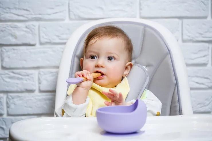 No More Flying Food: Why Suction Plates and Divided Bowls are Essential for Mess-Free Learning