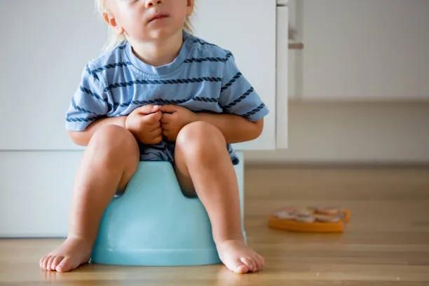 Ditching the Diaper: How to Choose a Potty Training Seat That Actually Works