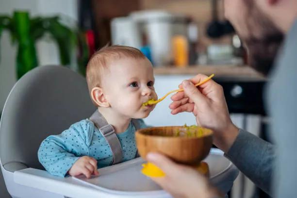 High Chair 101: Finding the Perfect Seat for Your Baby’s Culinary Journey