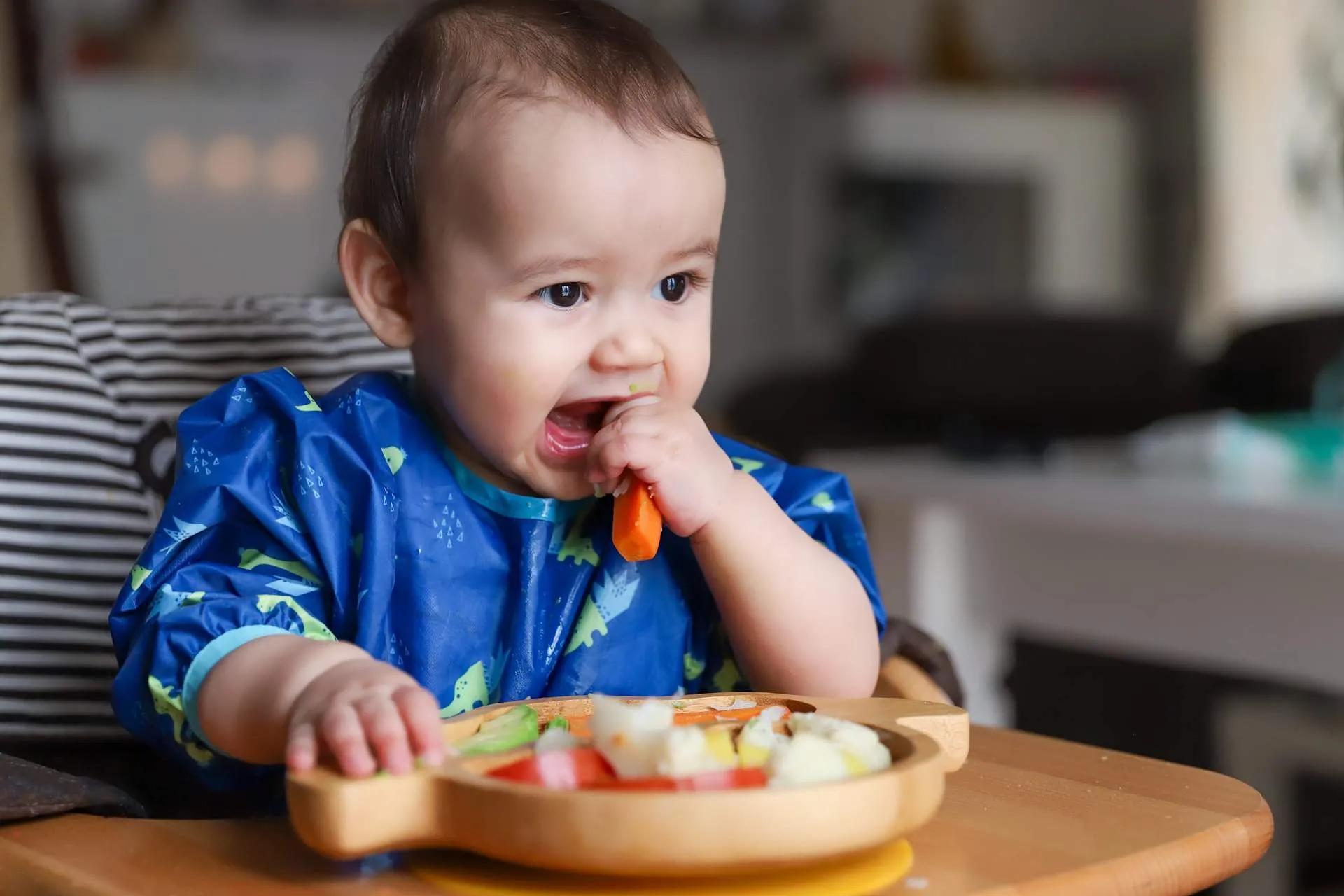 Daily Meal Routine for Babies